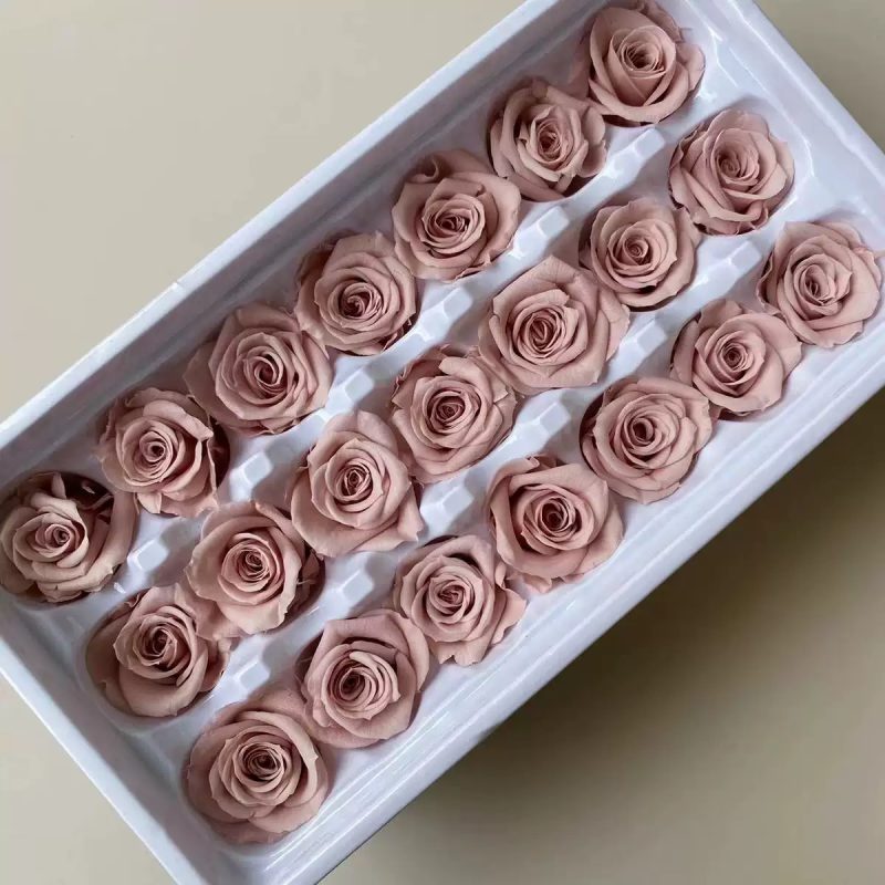 Preserved rose heads menta pink 2-3cm