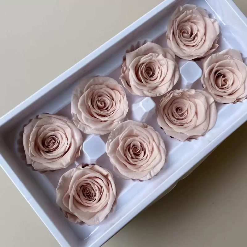 Preserved rose heads menta pink