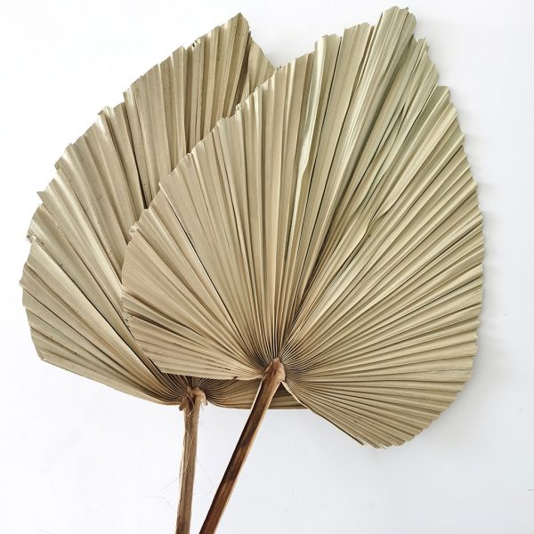 Natural palm